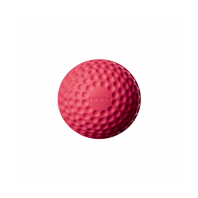 Swinga Ball
