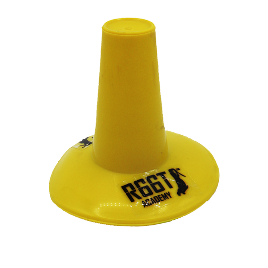 R66T Academy Cricket Batting Tee