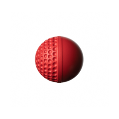 Swinga Ball