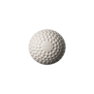 Swinga Ball