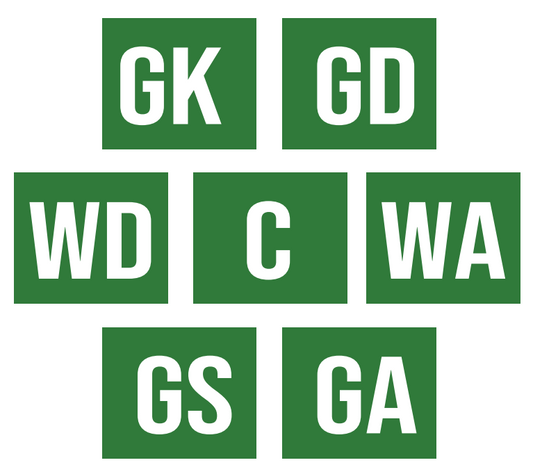 Set of Position Bibs