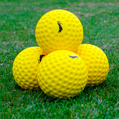 R66T Academy Cricket Ball Feeder Bundle