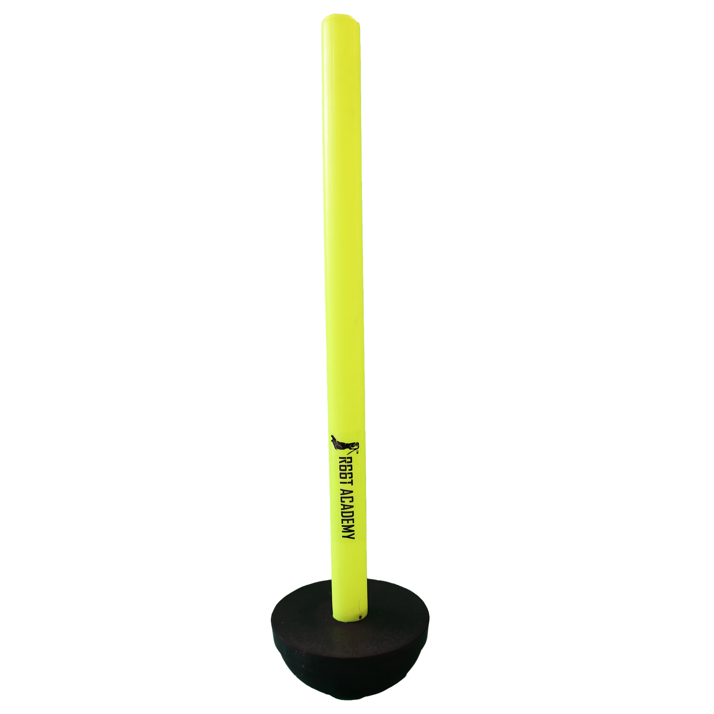 R66T Academy Target Cricket Stump