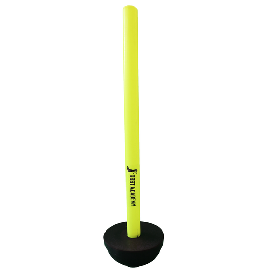 R66T Academy Target Cricket Stump