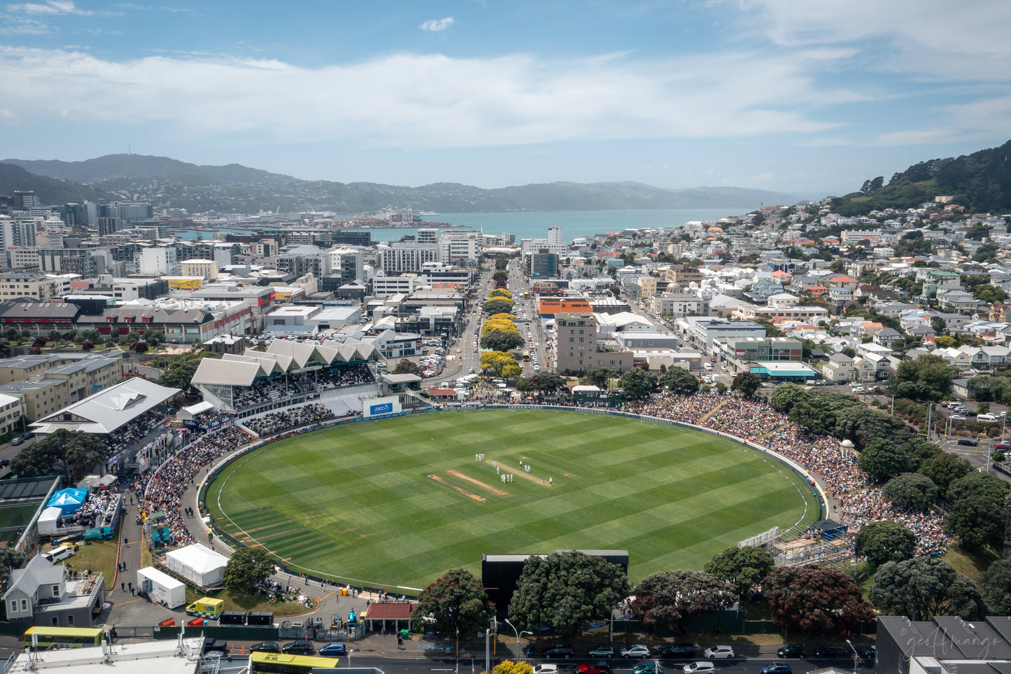 Stadium Print - Wellington 3