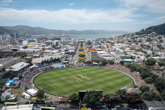 Stadium Print - Wellington 3