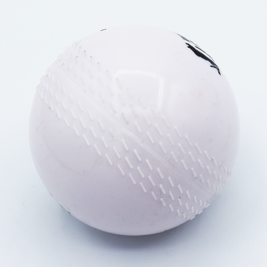 R66T Academy Cricket WindBall